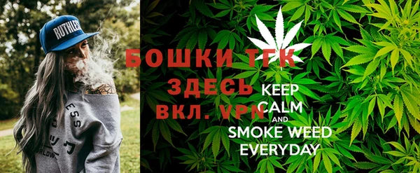 гашиш Богданович