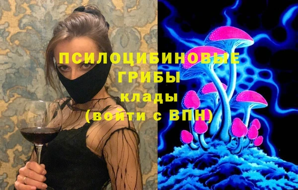 гашиш Богданович