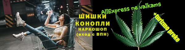 гашиш Богданович