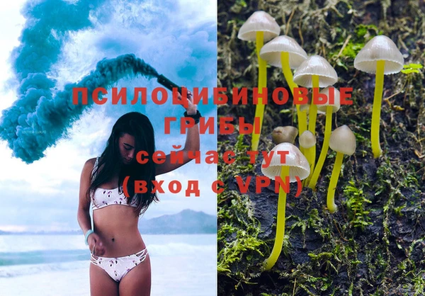 альфа пвп Богородицк