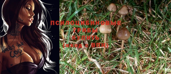 гашиш Богданович