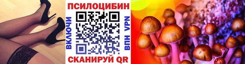 Купить закладки  Велиж  Псилоцибиновые грибы мицелий 